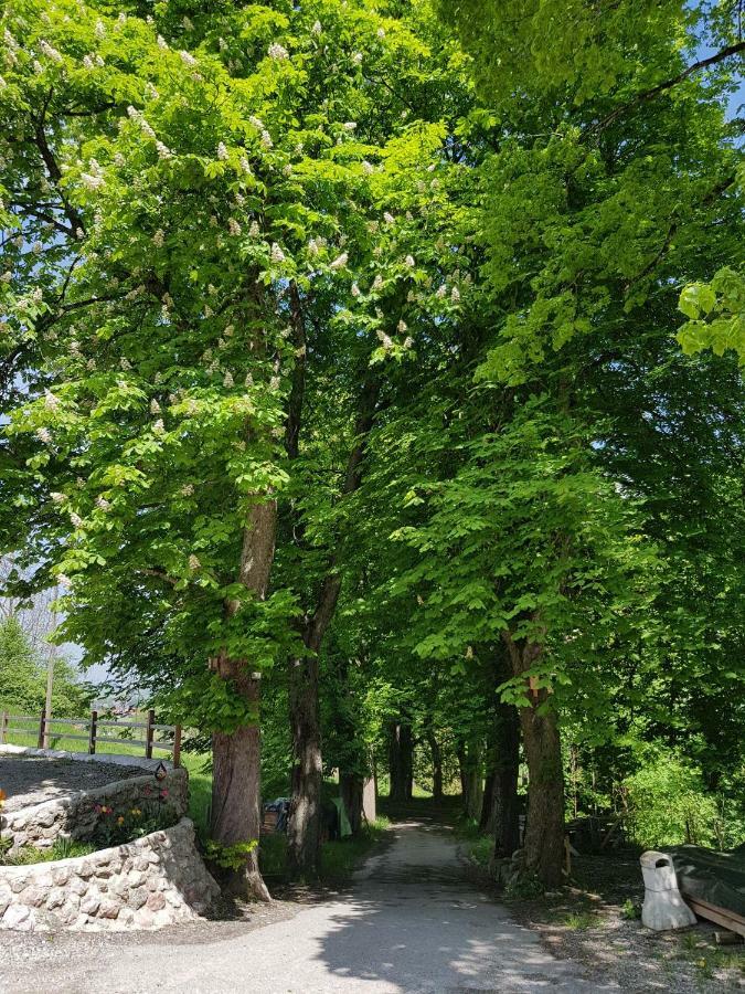 Villa Im Wald Rosshaupten Ngoại thất bức ảnh